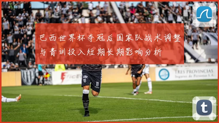 巴西世界杯夺冠后国家队战术调整与青训投入短期长期影响分析